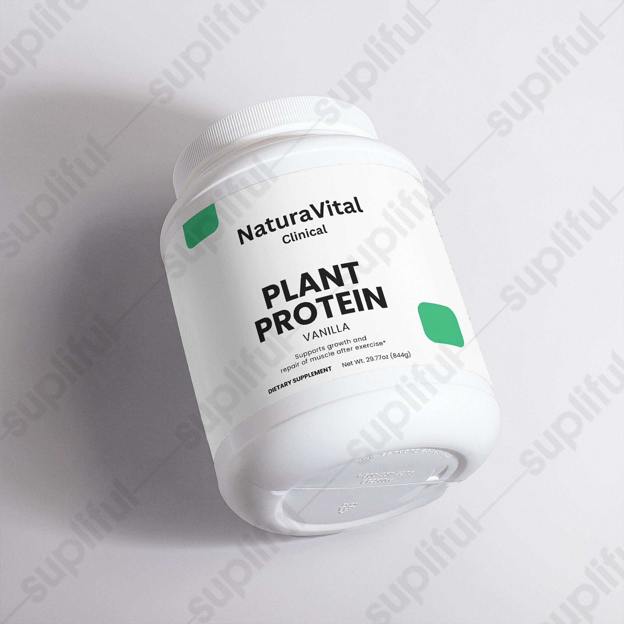 Plant Protein (Vanilla)